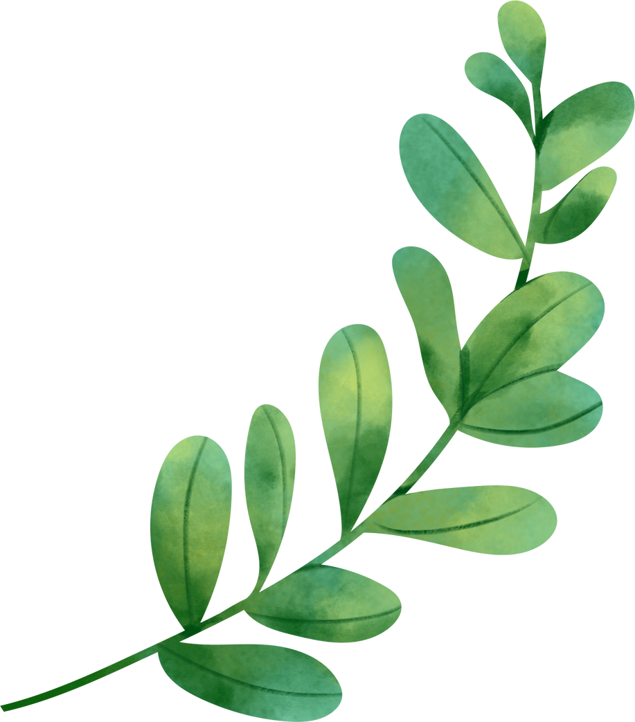 Watercolor Leaf Object